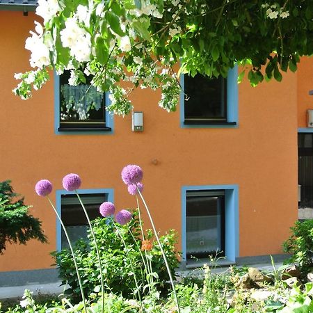 Ferienwohnung Zur Muehle Sotzweiler Екстериор снимка