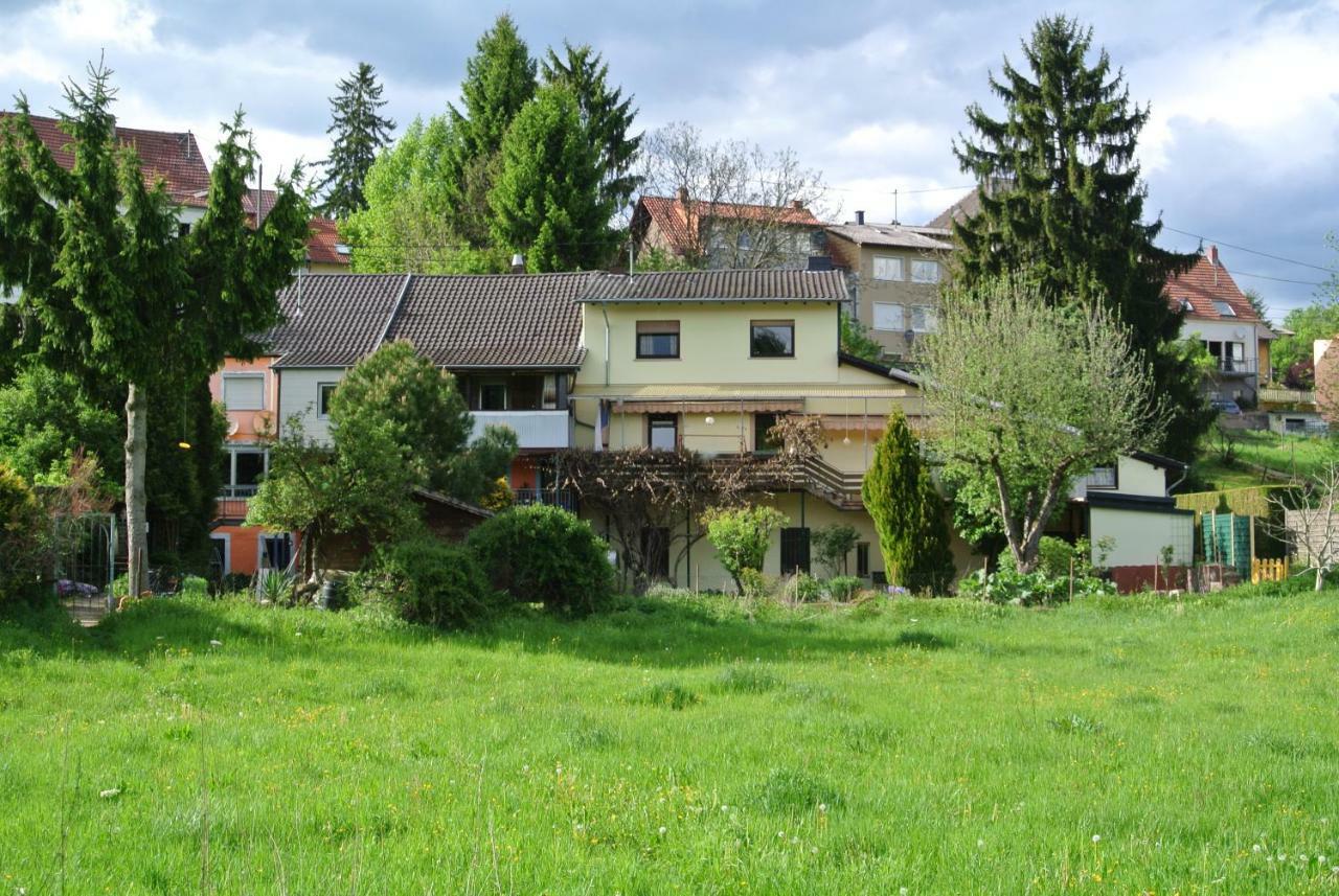 Ferienwohnung Zur Muehle Sotzweiler Екстериор снимка