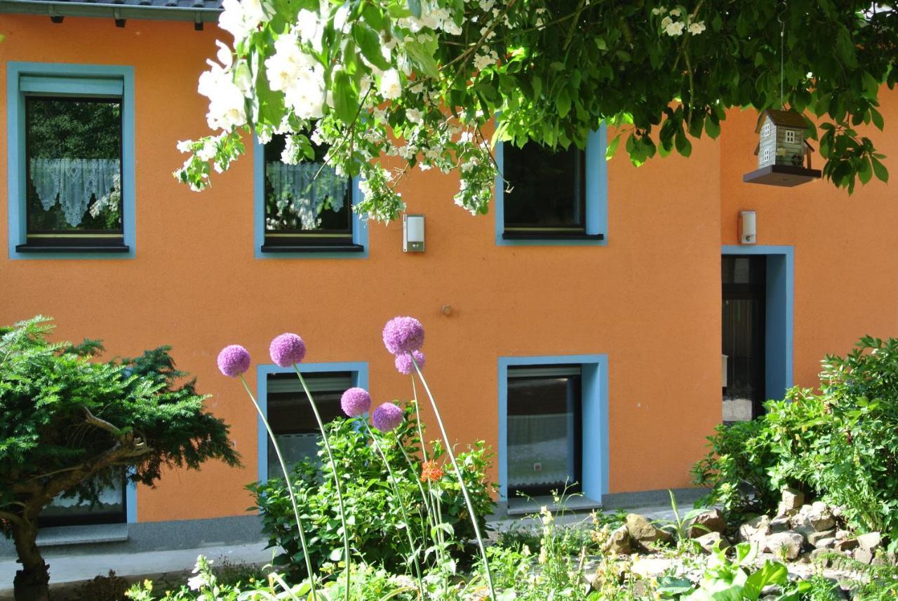 Ferienwohnung Zur Muehle Sotzweiler Екстериор снимка